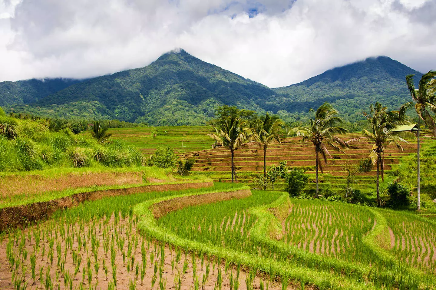 ✈ INDONESIA | Bali, Gili Air e Nusa Penida - I luoghi imperdibili d...