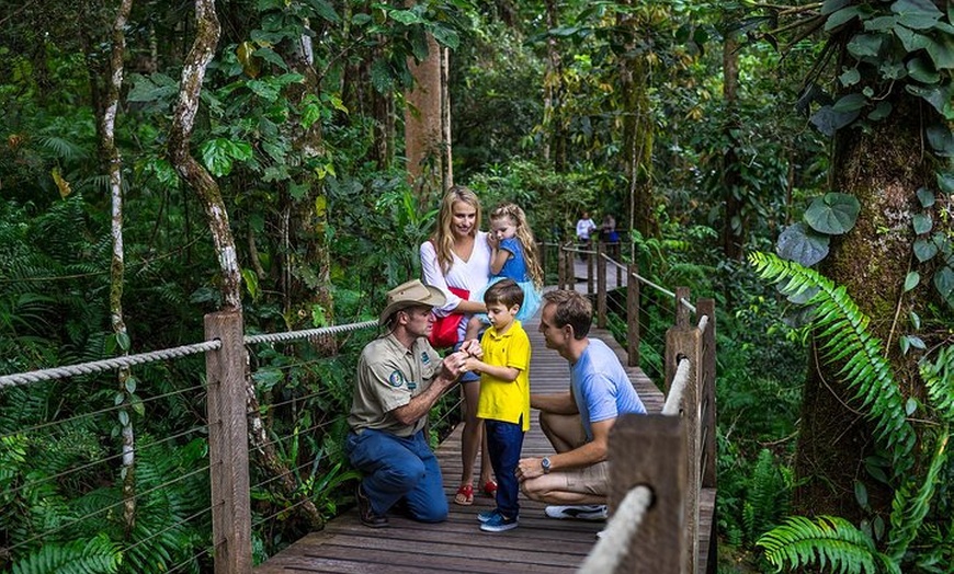 Image 23: Small Group Kuranda Tour via Kuranda Scenic Rail and Skyrail