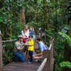 Image 23: Small Group Kuranda Tour via Kuranda Scenic Rail and Skyrail