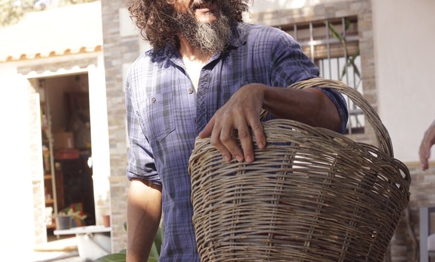 Image 2: Molino de aceite de Córdoba, vino, pasión