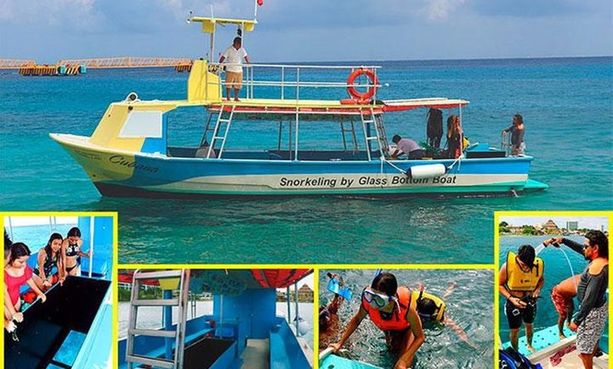 Safe Tours Cozumel - Safe Tours Cozumel | Groupon