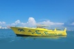 Sea Screamer Clearwater's Only Speed Boat Dolphin Watching - Second Medium