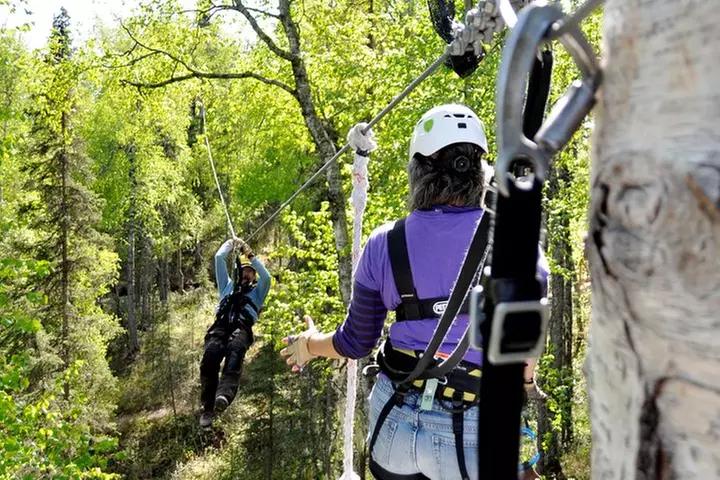 Denali Zipline Tour in Talkeetna, AK
