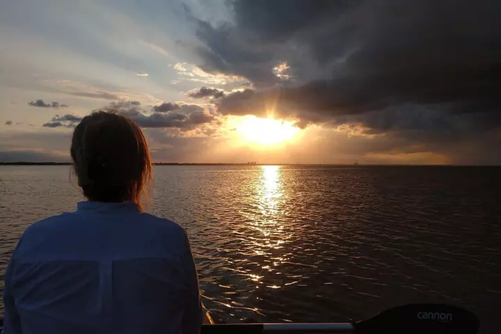 Guided Kayak Tour with Manatee & Dolphin Sightings