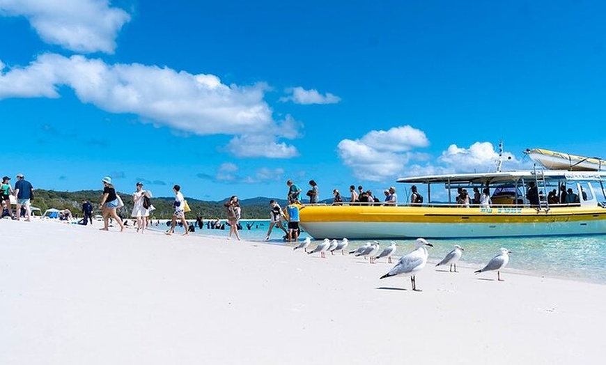 Image 26: 1-Day Whitsunday Islands Cruise: Whitehaven Beach and Hill Inlet