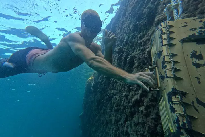 Mallorca : Paseo en kayak, cueva marina, salto acantilado y snorkel