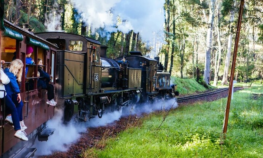 Image 2: Melbourne Steam Train Penguin Island Day Tour