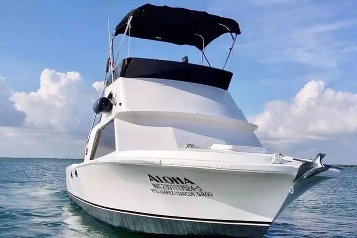 Private fishing charter Bertram 31ft 6 pax max if you don't fish yo...