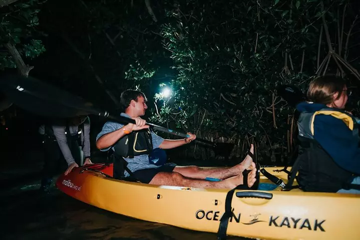 Thousand Islands Bioluminescent Kayak Tour with Cocoa Kayaking!