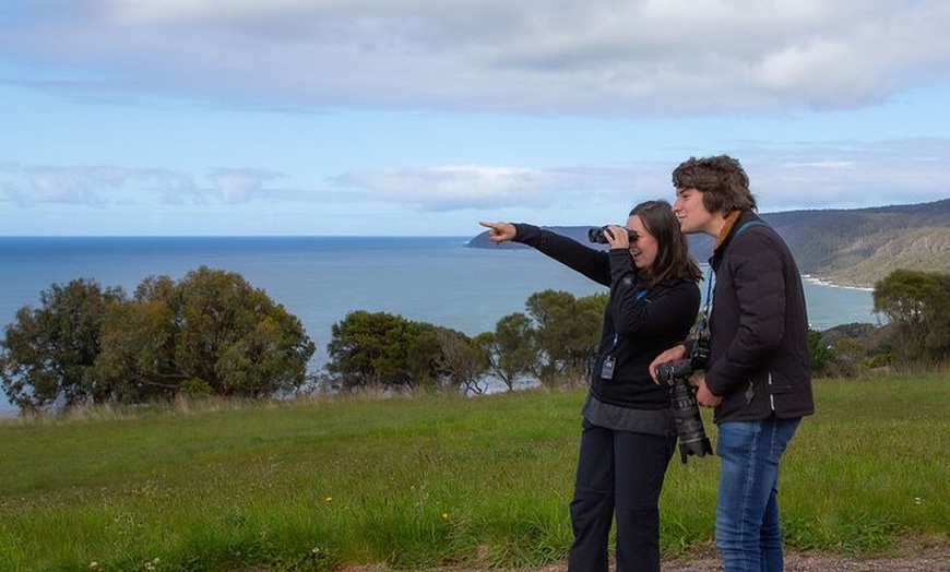 Image 2: Walk with Wildlife: Guided Tour in Great Ocean Road