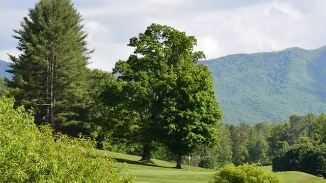 Online Booking - Round of Golf at Black Mountain Golf Course - Primary Image
