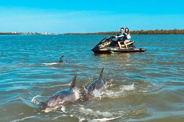 Ten Thousand Island Jet Ski Eco Tour - Marco Island - Primary Image