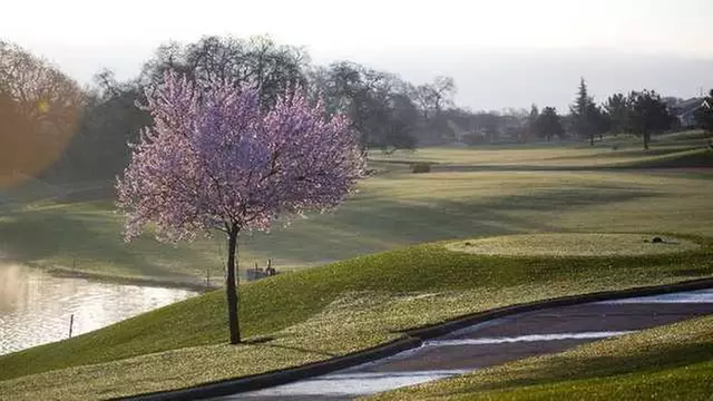 Online Booking - Round of Golf at Sierra Pines Golf Course - Primary Image