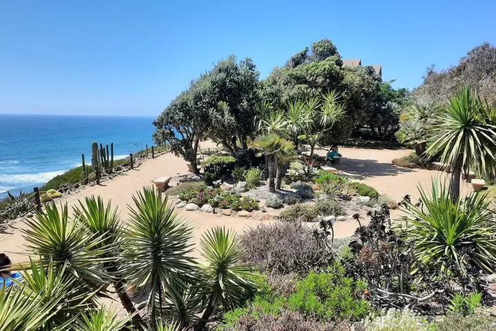 Full-Day Self Guided Electric Bike Tour of North San Diego Coast