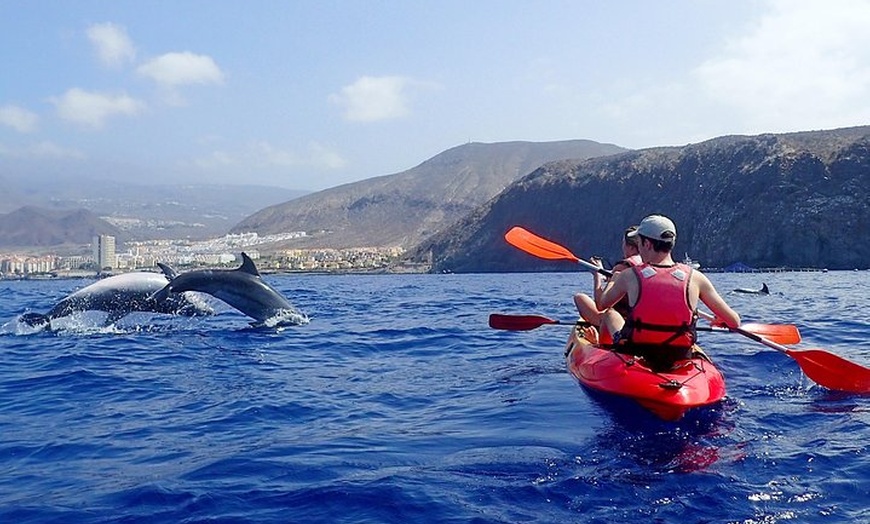 Image 3: Kayak con delfines y tortugas y esnórquel en Tenerife