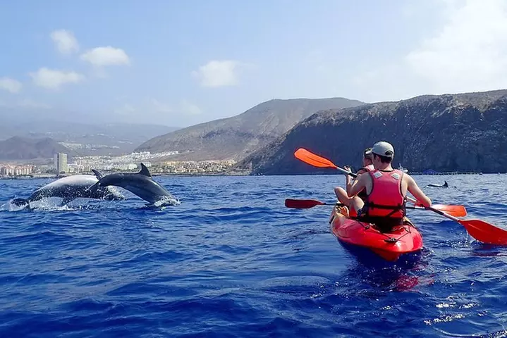 Tenerife : Tour en Kayak Tortuga & Delfines con Snorkel & Traje de ...