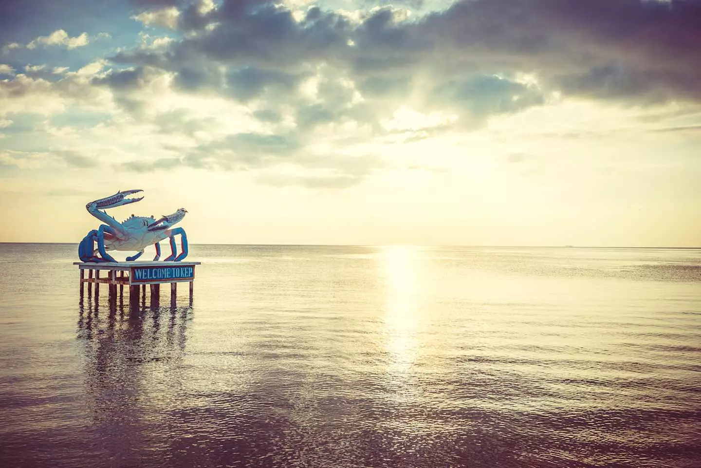 ✈ CAMBOGIA | Da Siem Reap a Phnom Penh - La Cambogia: tra patrimoni...