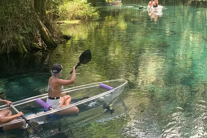 Clear Canoeing and Wildlife Sightseeing at Silver Springs