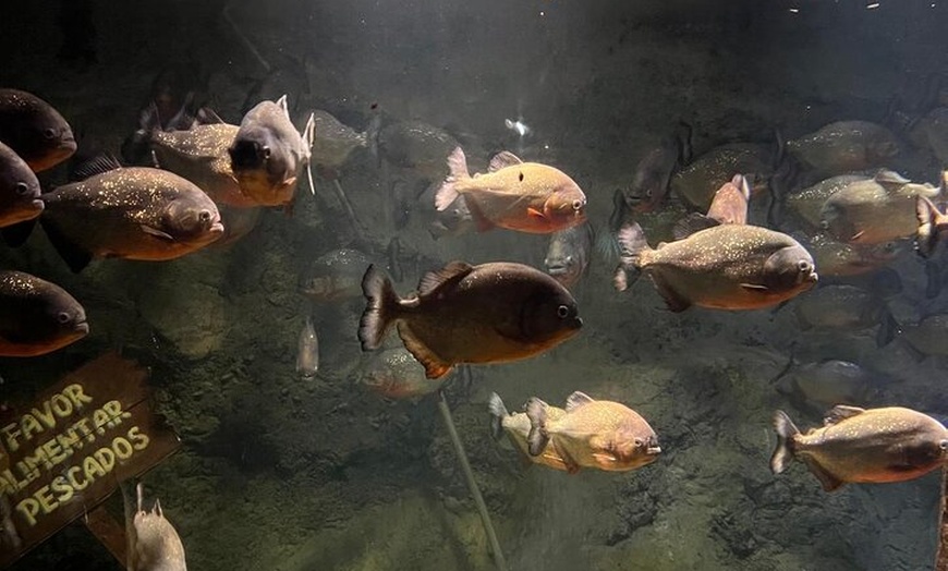 Image 31: Luxury Private Tour in London