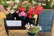 $15 For $30 Toward Plants, Flowers & Gifts - Second Medium