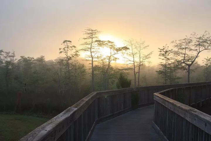 Everglades Day Safari from Fort Myers/Naples Area