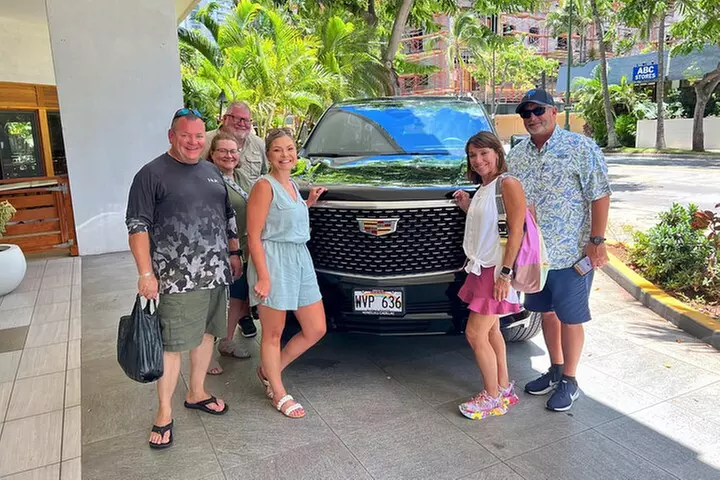 One-Way VIP Transfer: Honolulu Airport, Waikiki, Cruise Port