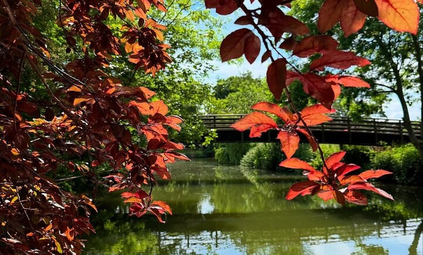 Image 11: Paddleboarding Adventures in Tonbridge