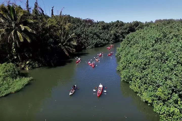 Hanalei Bay Morning Kayak and Snorkel Tour
