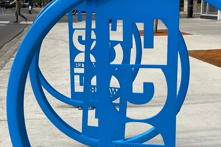 Small-Group Tour of Chicago Neighborhoods: North and South Side