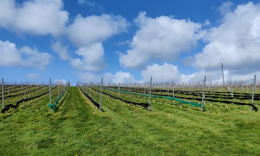 Image 1: Cider Orchard and Vineyard Tour