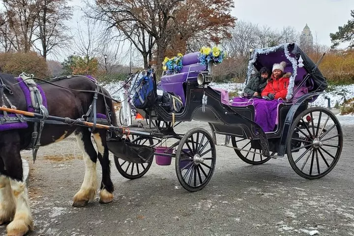 Private NYC Central Park Horse Carriage Ride (Guided) Since 1965™