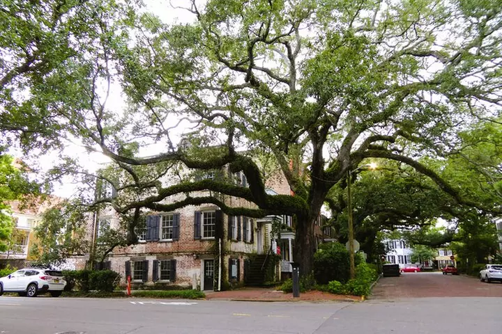 Private Historic Savannah Tour in a Vintage Citroën