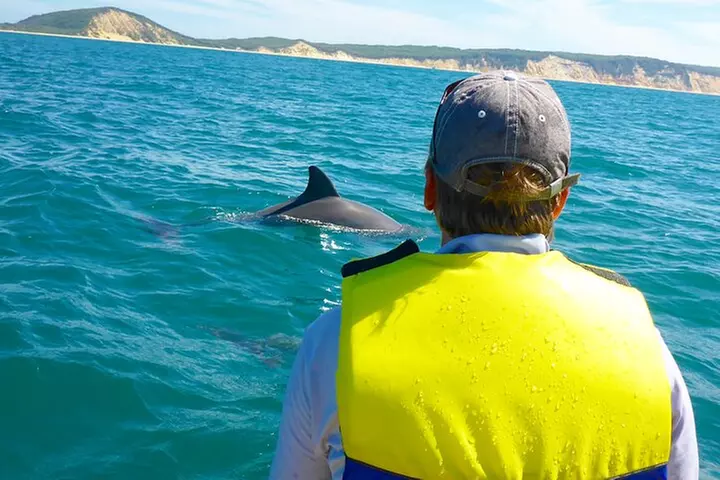 Rainbow Beach: Dolphin & Wildlife Ocean Kayak & Beach 4WD Tour