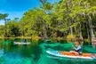Silver Springs Manatee & Monkeys Paddle Board Tour - Second Medium