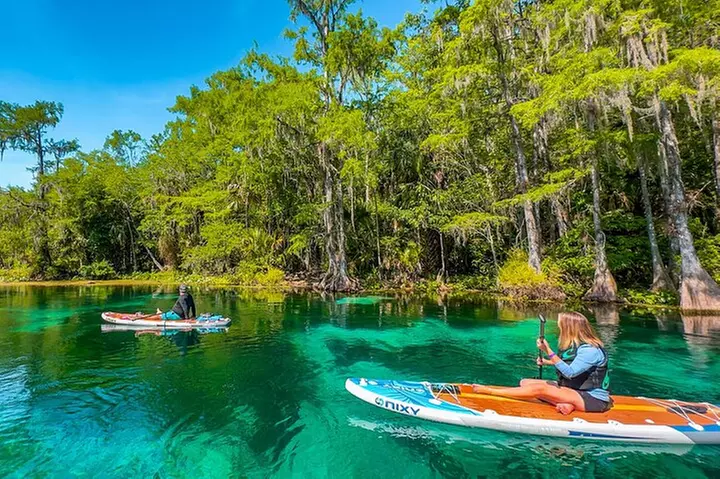 Silver Springs Manatee & Monkeys Paddle Board Tour