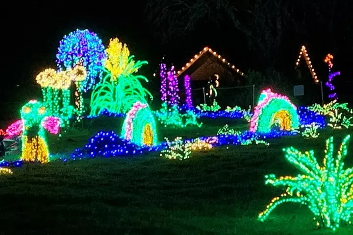 Christmas Lights and Snowflake Lane photo tour