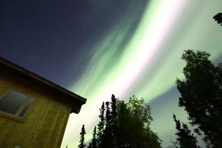 Northern Lights Experience and Cabin Dinner