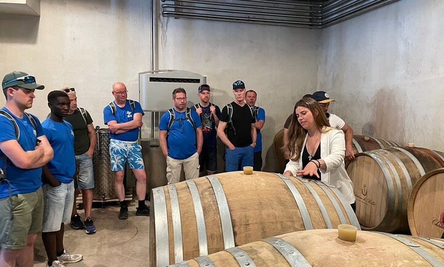 Image 5: E-bike tour à la découverte des vignobles de Bellet