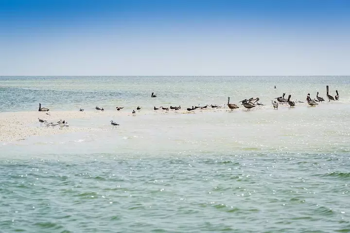 Ten Thousand Island Jet Ski Eco Tour - Marco Island