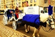 Horse Carriage Tour in New York City's Central Park Small Loop - Second Medium