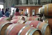Hidden Gems: Boutique Full-Day Wine, Farm & Lunch Tour - Second Medium