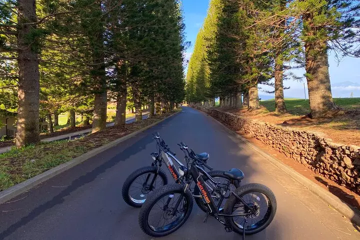 West Maui Electric Bike Rentals