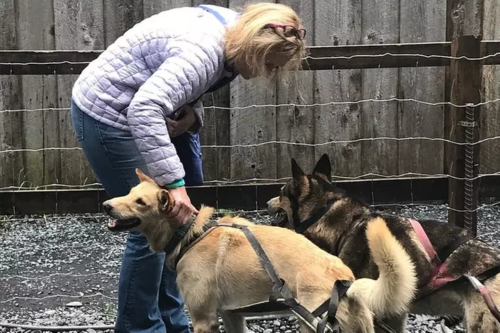 Seward and Kenai Fjords National Park Guided Tour with Lunch