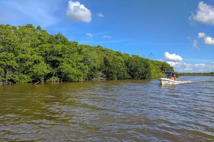 Nature Tour at Las Coloradas and Rio Lagartos Biosphere