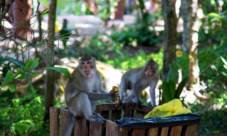 Image 20: ✈ CAMBODGE | De Siem Reap à Phnom Penh - Richesse du Cambodge et ex...