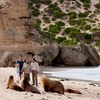 Image 2: Kangaroo Island Scenic Nature and Wildlife Day Tour