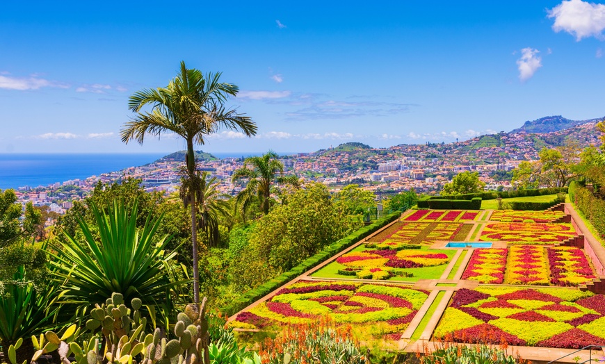 Near Funchal - Four Views O... at Near Funchal - Four Views Oasis 4 ...