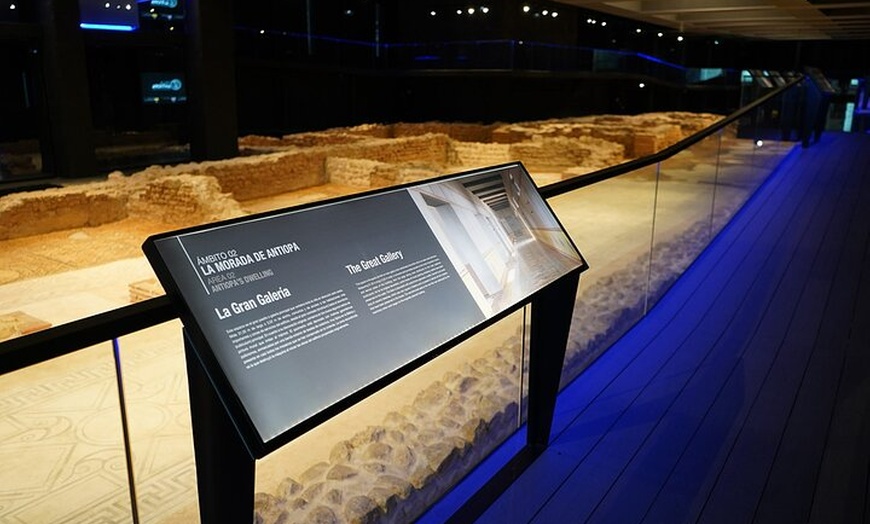 Image 2: Tour Privado a la Villa Romana Antiopa en Málaga