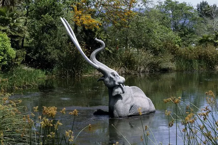 Private Full Day Los Angeles Tour with a Historian and Naturalist