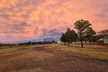 Farm Adventure Experience in Red Hill Ranch - Second Medium